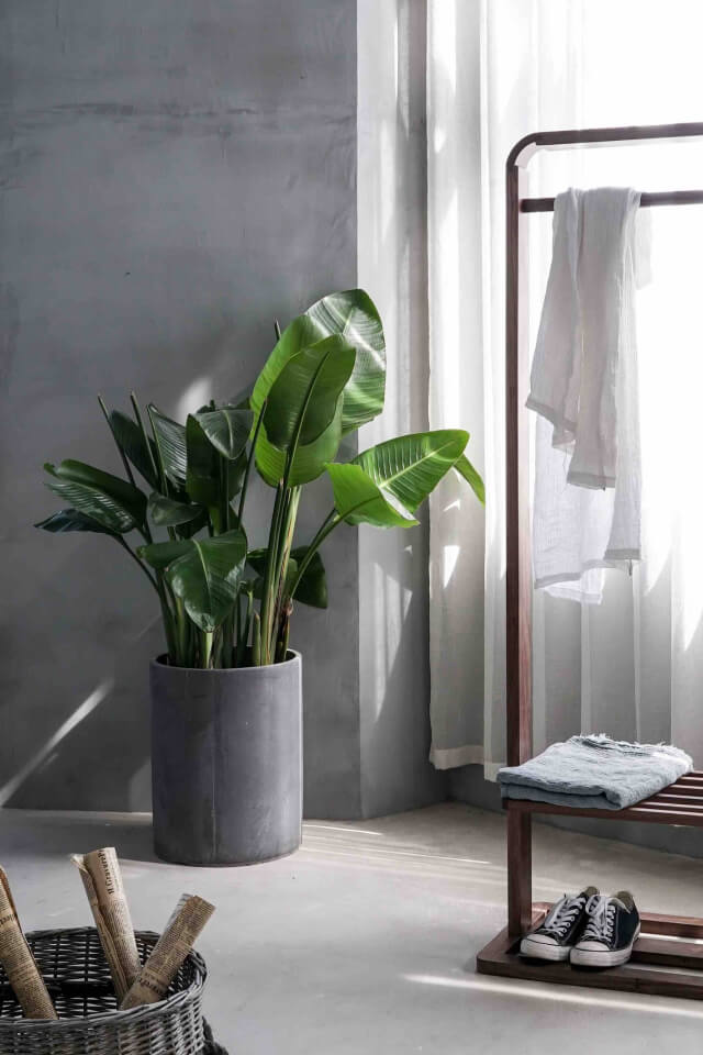 G Lamp Speaker - 3-in-1 Bluetooth Speaker with Fast Wireless Charging (1 Pc) - Image 2